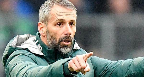 BOB半岛体育平台-第三次掏转会费挖主帅 罗泽是多特的真命天子吗？